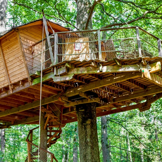 Cabanes dans les arbres